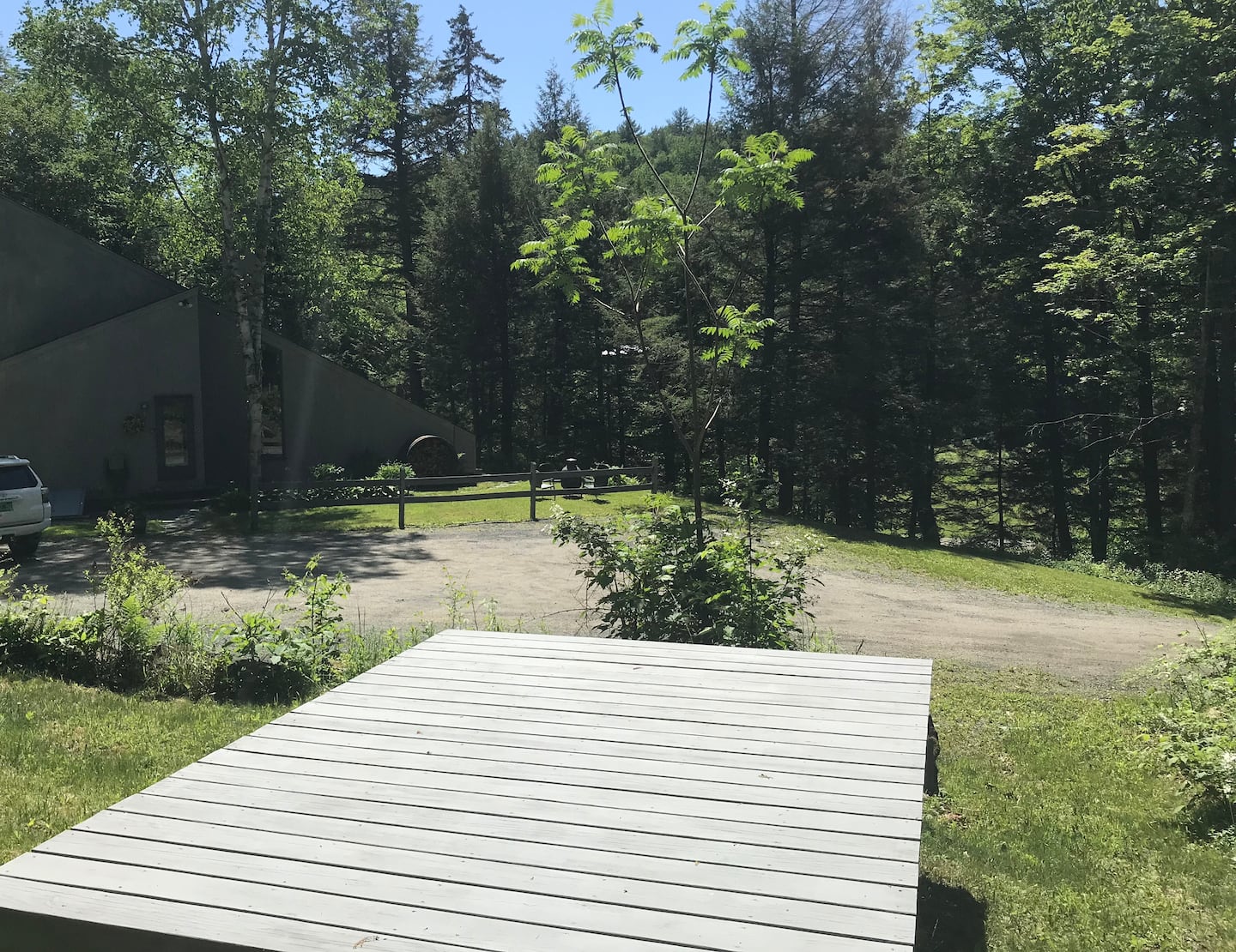 Forest trails at Falcon House