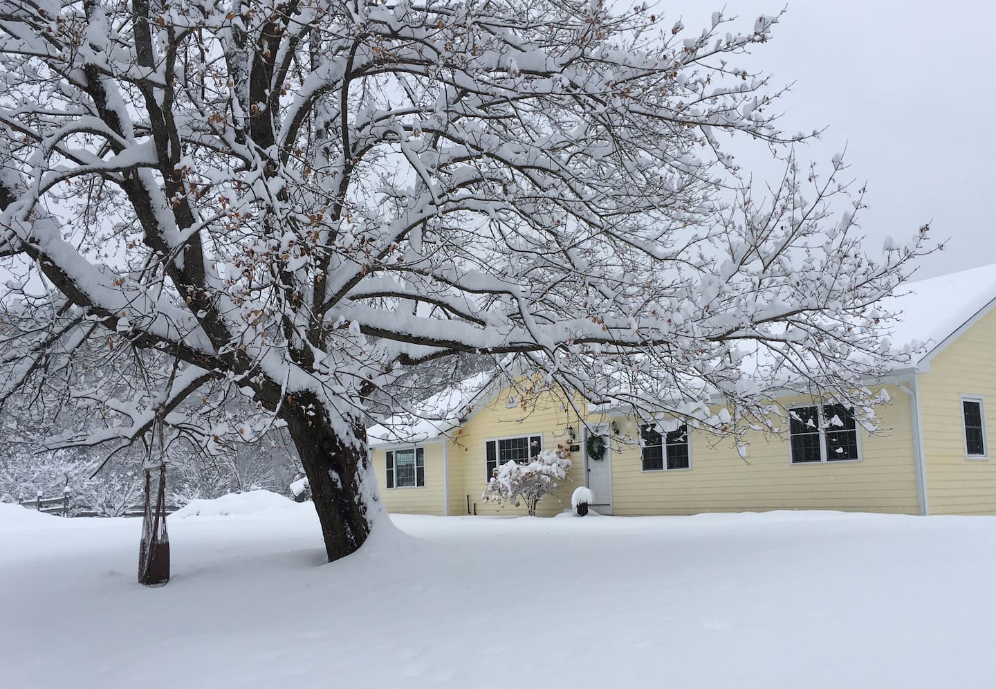 Dana Road House in winter