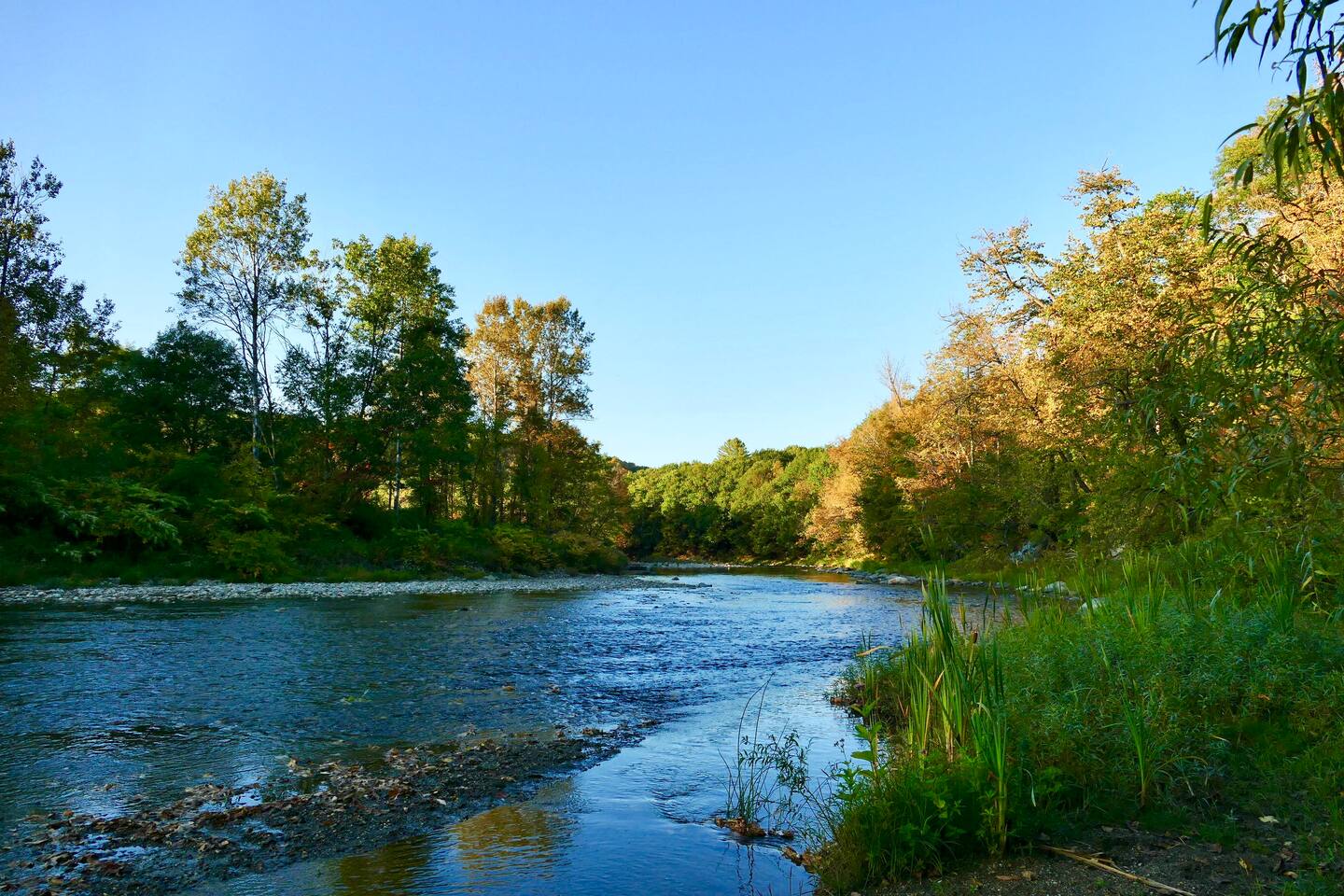 Ottauquechee river in autumn
